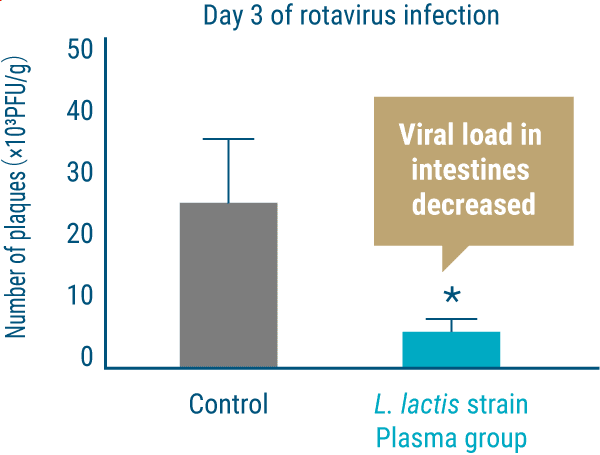 Day 3 of rotavirus infection Viral load in intestines decreased