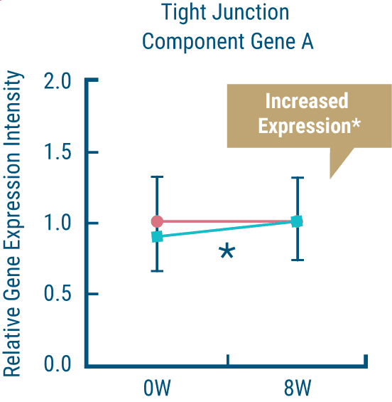 Tight Junction Component Gene A / Increased Expression**