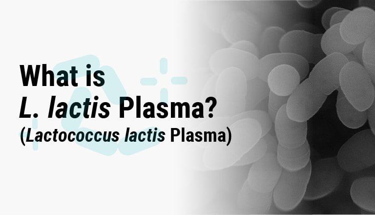 What is L. lactis Plasma? (Lactococcus lactis Plasma)
