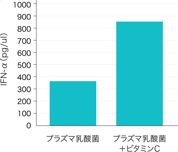 プラズマ乳酸菌／プラズマ乳酸菌＋ビタミンＣ