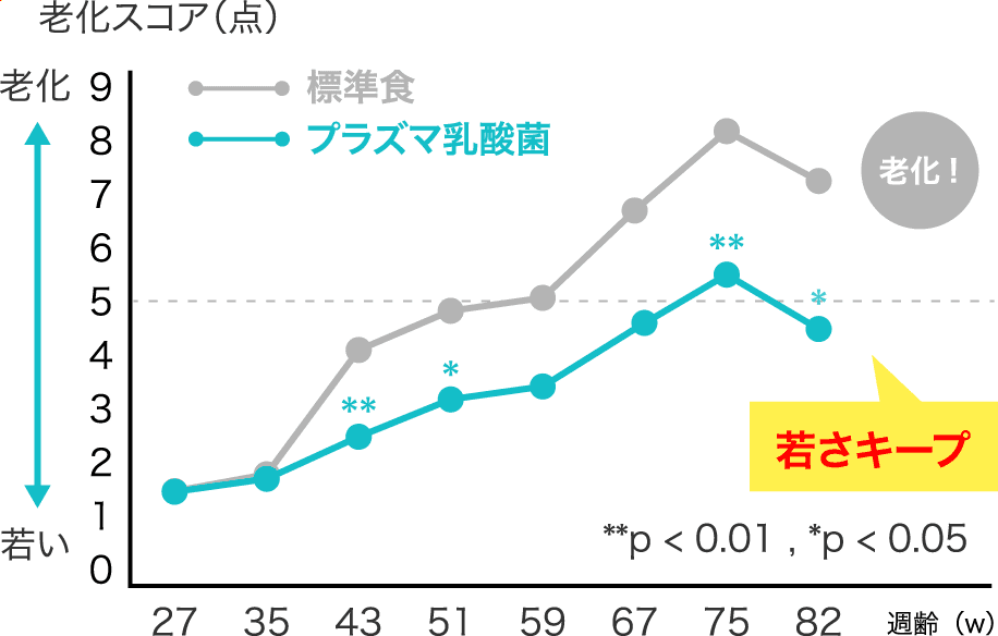 老化スコア（点） 若さキープ