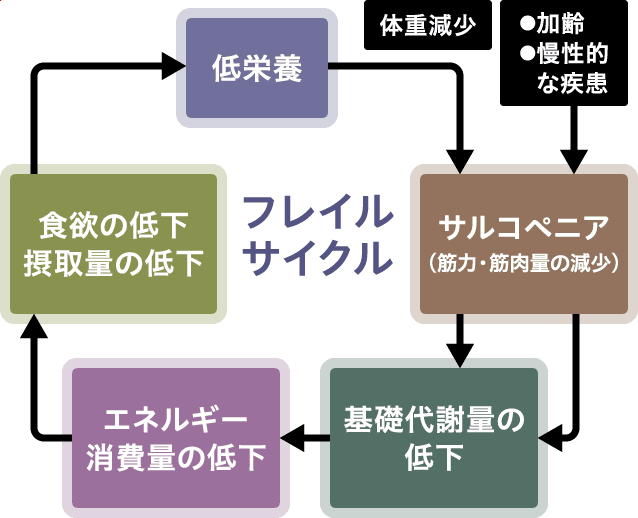 フレイルサイクル
