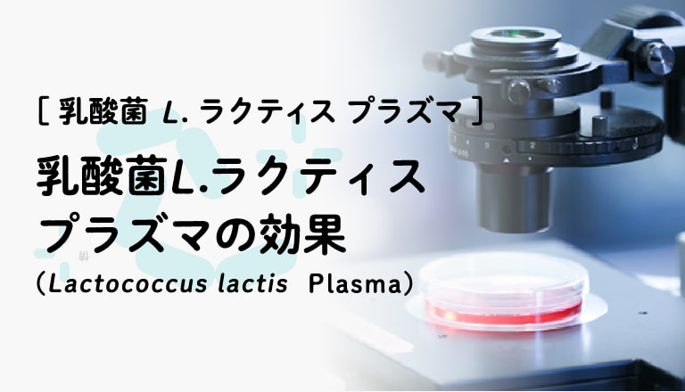 乳酸菌 L.ラクティス プラズマの効果（Lactococcus lactis Plasma）