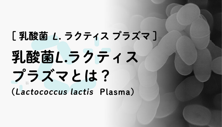 乳酸菌 L.ラクティス プラズマとは？（Lactococcus lactis Plasma）