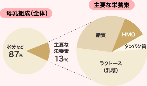 母乳組成（全体）水分など87% 主要な栄養素13%／主要な栄養素（HMO、タンパク質、ラクトース（乳糖）、脂質）