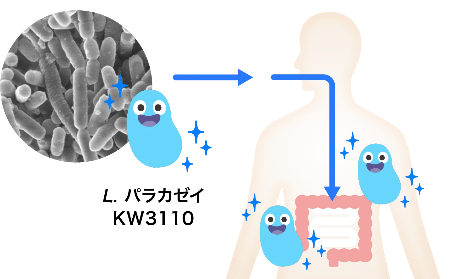 メカニズムのイメージ画像