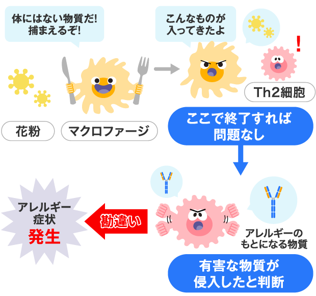 アレルギー症状発生の仕組み