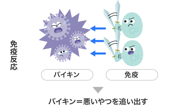 免疫反応 バイキン＝悪いやつを追い出す