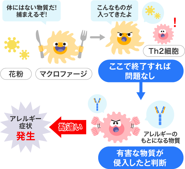 アレルギー発生の仕組み