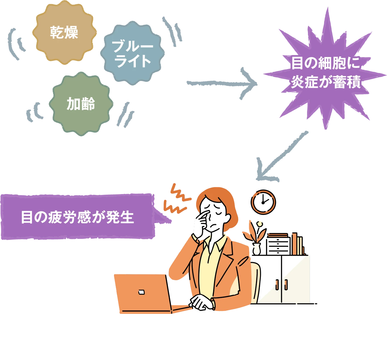 目の疲労感を感じる仕組みのイメージ写真