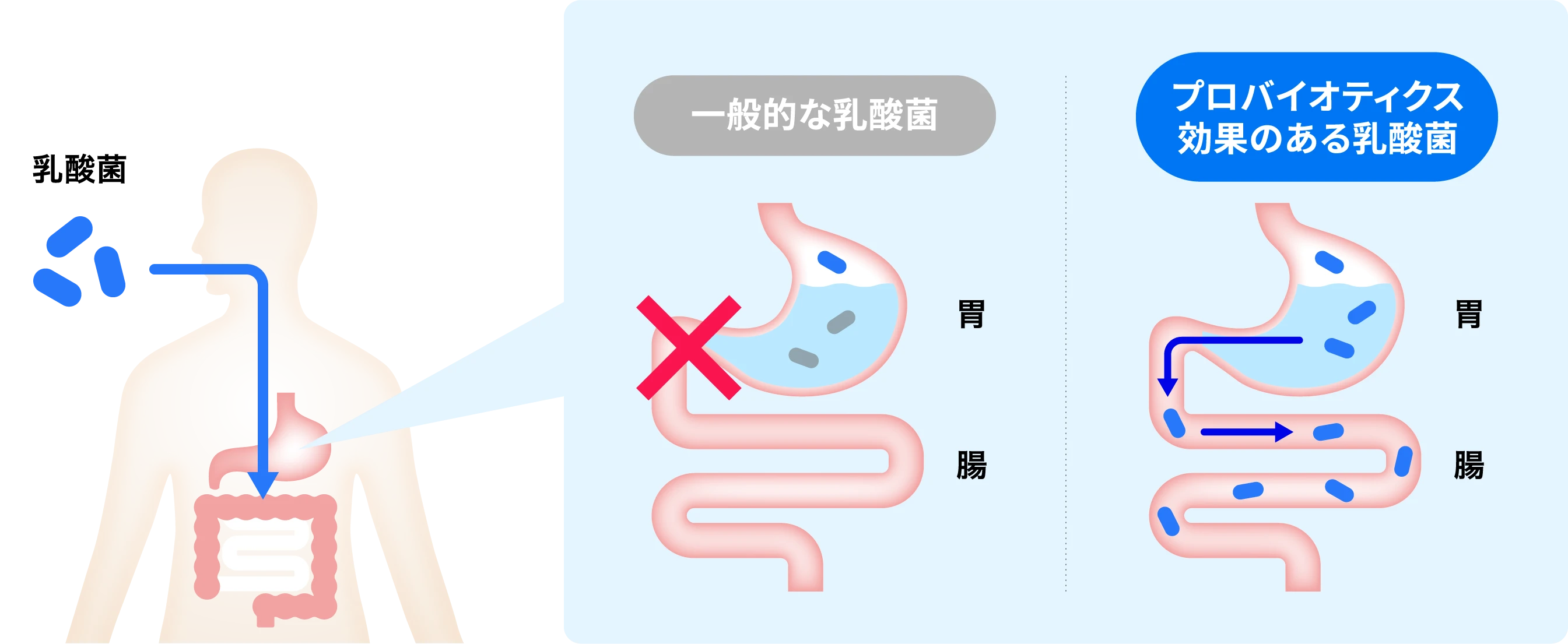 正常な状態のイメージ写真