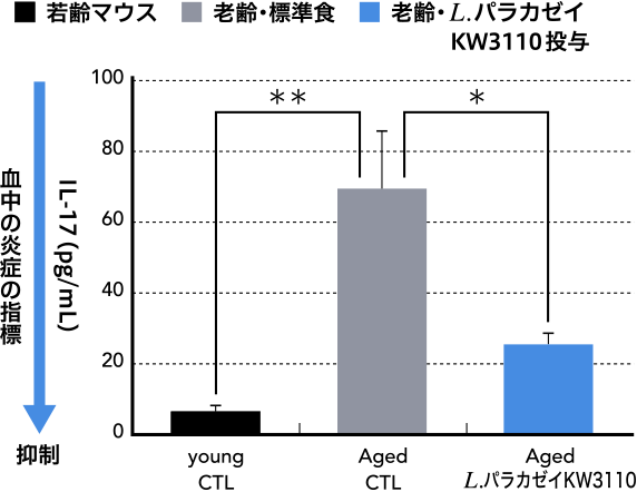血中の炎症の指標：若齢マウス - 老齢・標準食 - 老齢 L.パラカゼイKW3110