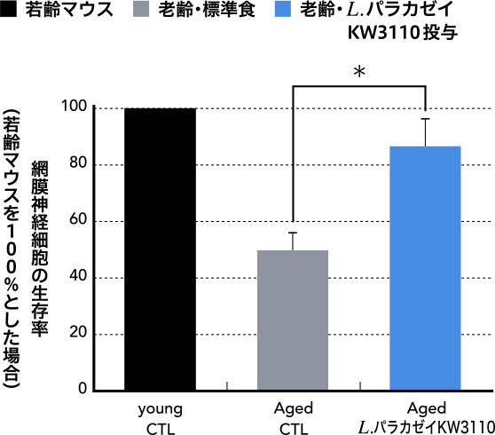 網膜神経細胞の生存率（若齢マウスを100%とした場合）：若齢マウス - 老齢・標準食 - 老齢 L.パラカゼイKW3110