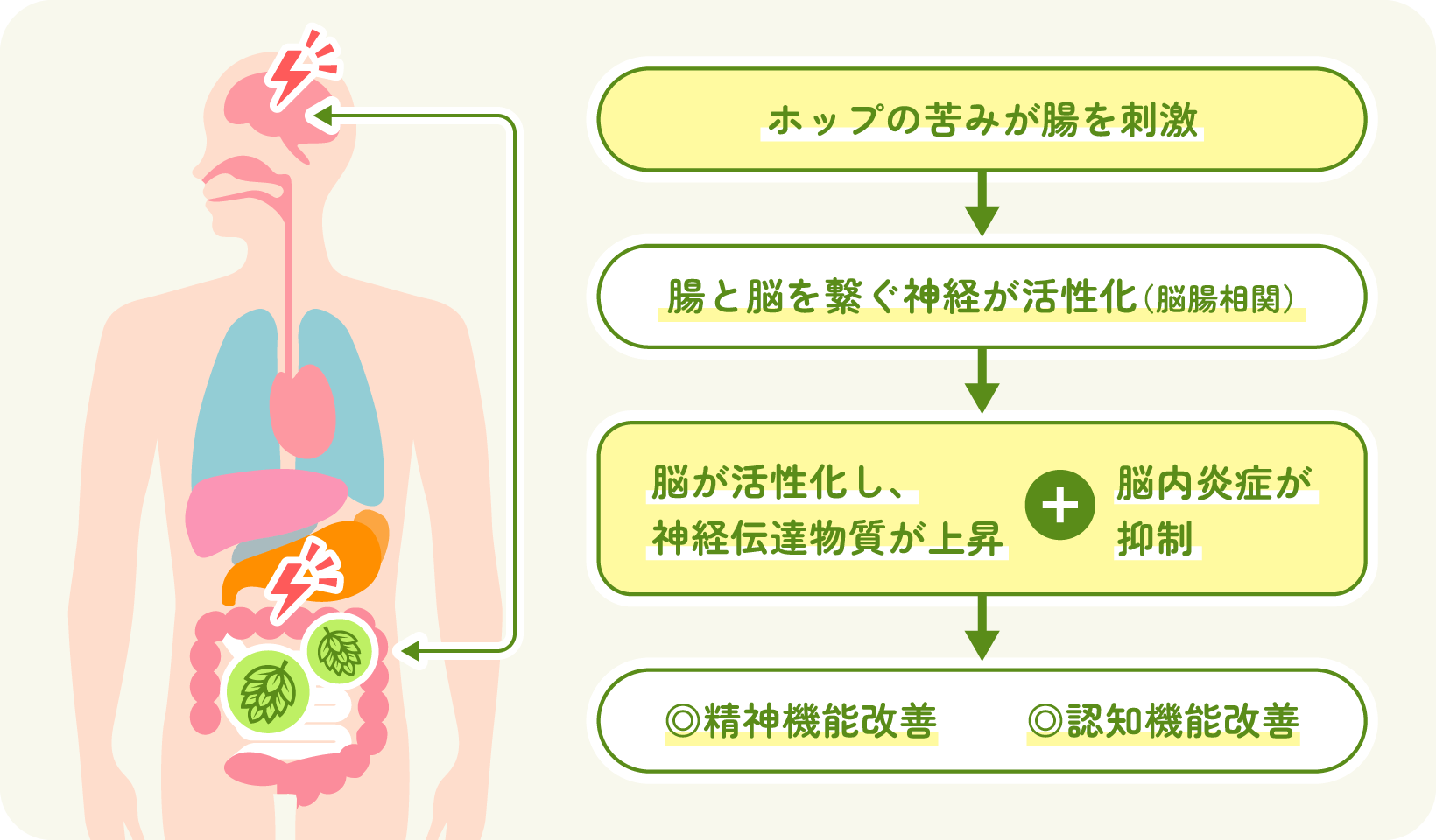 精神機能や注意力・記憶力の改善のイメージ図