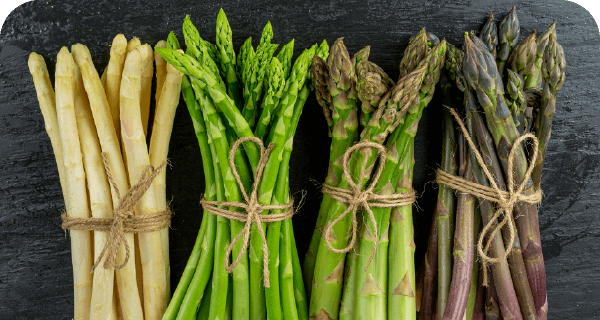 ホップは世界一高価な野菜？のイメージ画像