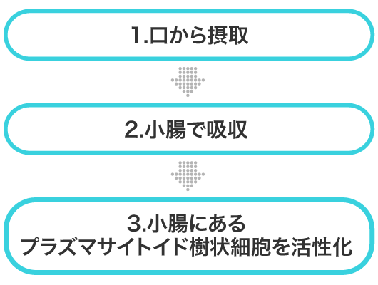 乳酸菌の新しい常識