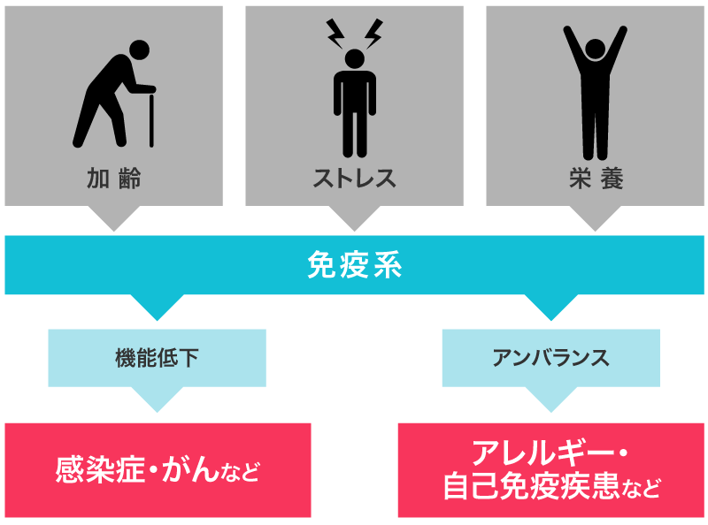 日常生活状態と免疫力低下の関係