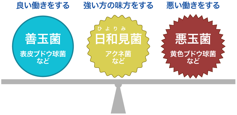 肌フローラとは?