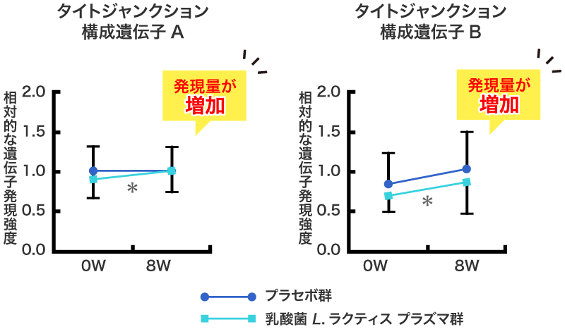 タイトジャンクション遺伝子の発現量の比較