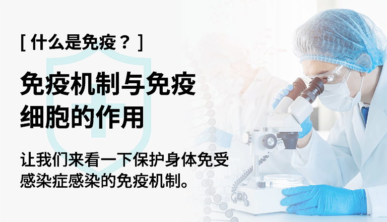 什么是免疫？ 免疫机制与免疫细胞的作用 让我们来看一下保护身体免受感染症感染的免疫机制。