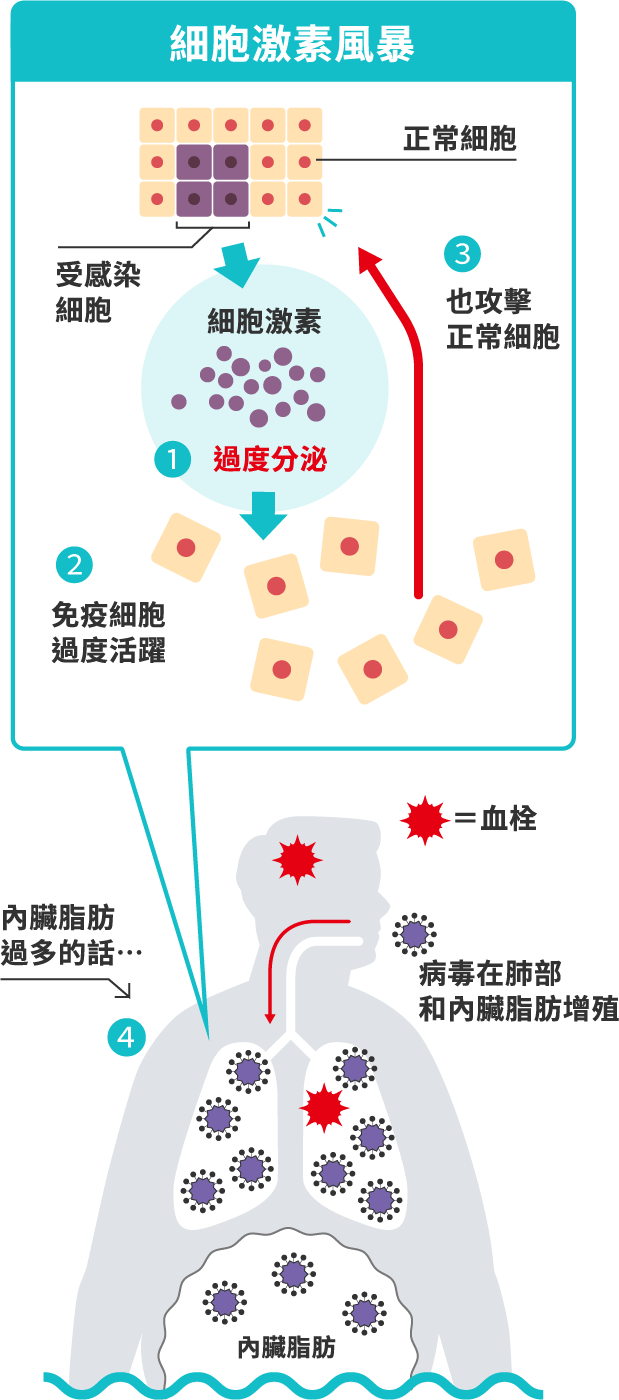 細胞激素風暴解說圖