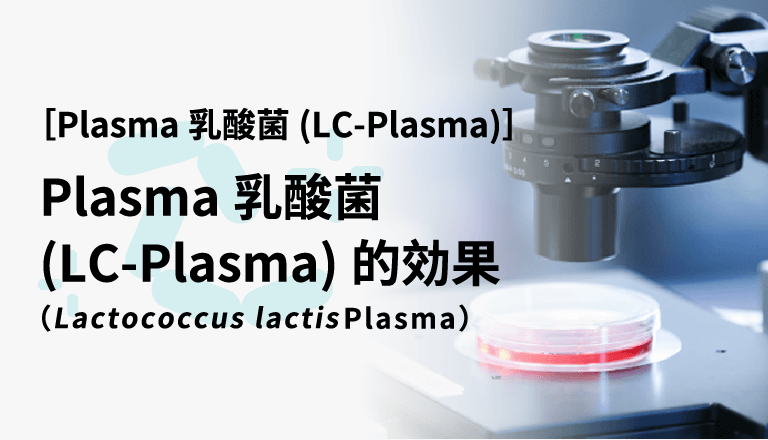 Plasma乳酸菌（LC-Plasma）的效果