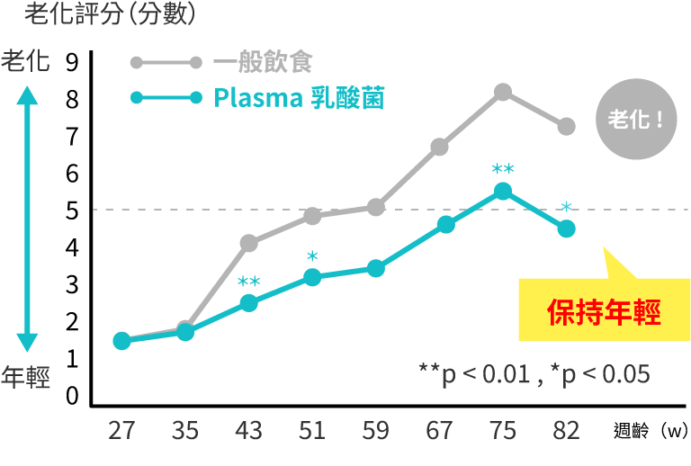 有無攝取Plasma乳酸菌的老化程度對照圖