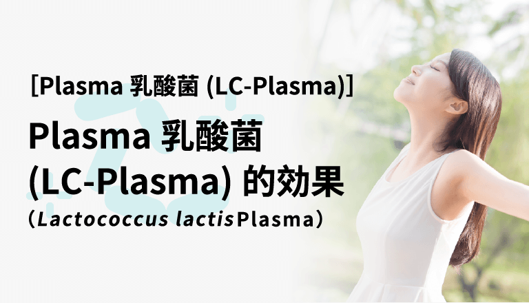 Plasma乳酸菌（LC-Plasma）的效果