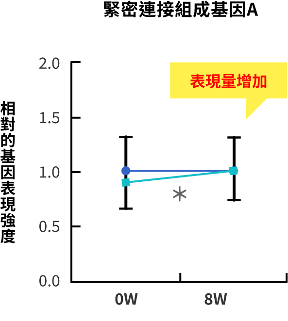 緊密連接基因表現量的比較圖（緊密連接構成基因A）
