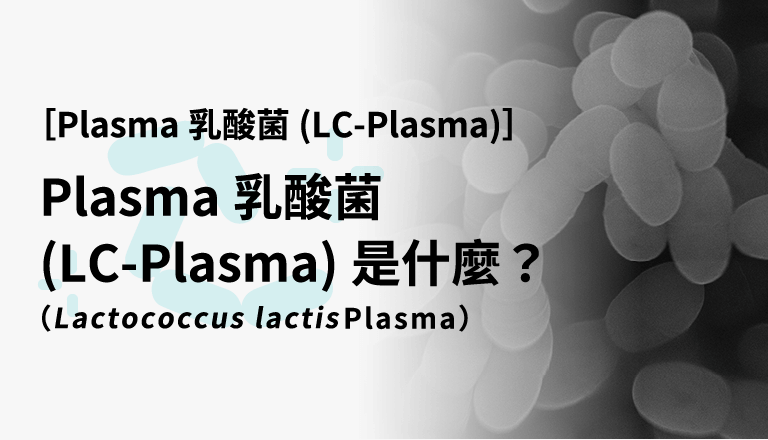 Plasma乳酸菌（LC-Plasma）是什麼？