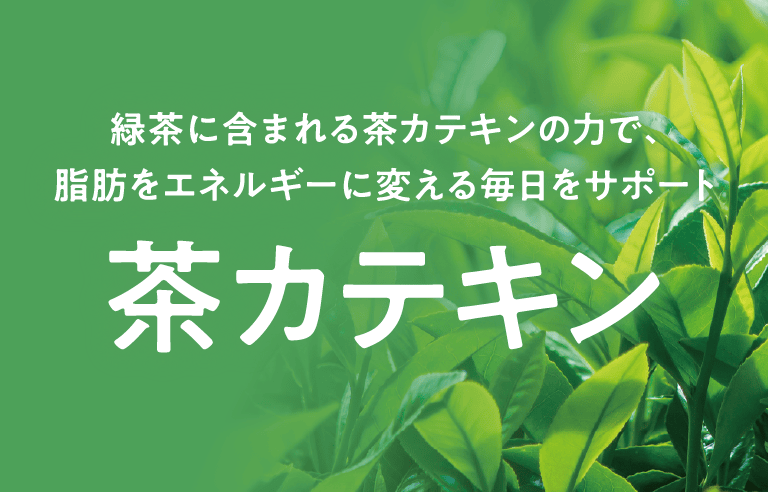 緑茶に含まれる茶カテキンの力で、脂肪をエネルギーに変える毎日をサポート 茶カテキン