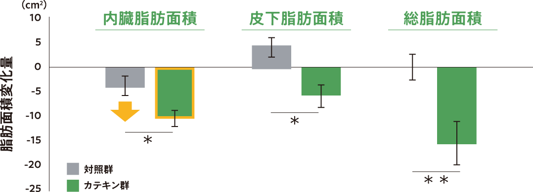 脂肪面積変化量 内臓脂肪面積／皮下脂肪面積／総脂肪面積