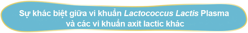 Sự khác biệt giữa vi khuẩn Lactococcus Lactis Plasma và các vi khuẩn axit lactic khác