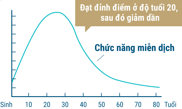 Đạt đỉnh điểm ở độ tuổi 20, sau đó giảm dần