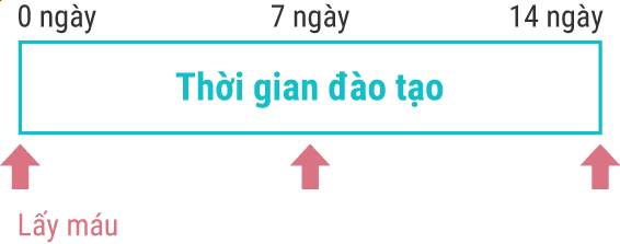 Thời gian đào tạo