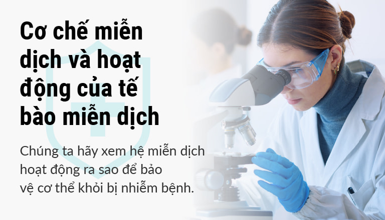 Cơ chế miễn dịch và hoạt động của tế bào miễn dịch / Chúng ta hãy xem hệ miễn dịch hoạt động ra sao để bảo vệ cơ thể khỏi bị nhiễm bệnh.