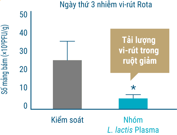 Ngày thứ 3 nhiễm vi-rút Rota