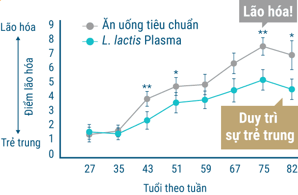 Lão hóa! / Duy trì sự trẻ trung