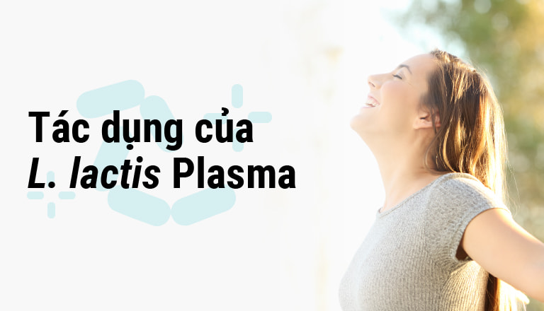 Tác dụng của L. lactis Plasma