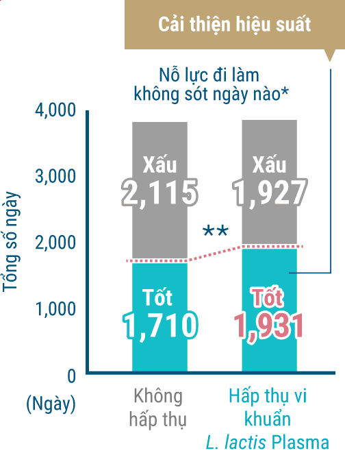 Cải thiện hiệu suất